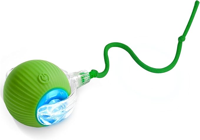 Interactive Cat Toys for Indoor Cats