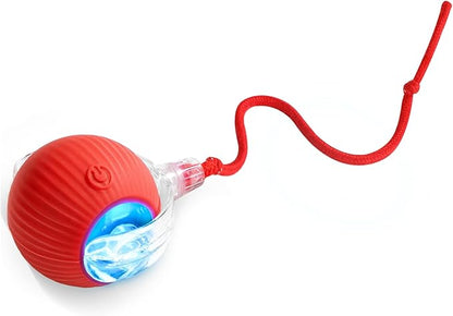 Interactive Cat Toys for Indoor Cats