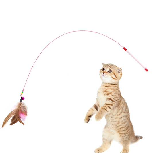 Cat Feather Toy 2 Set
