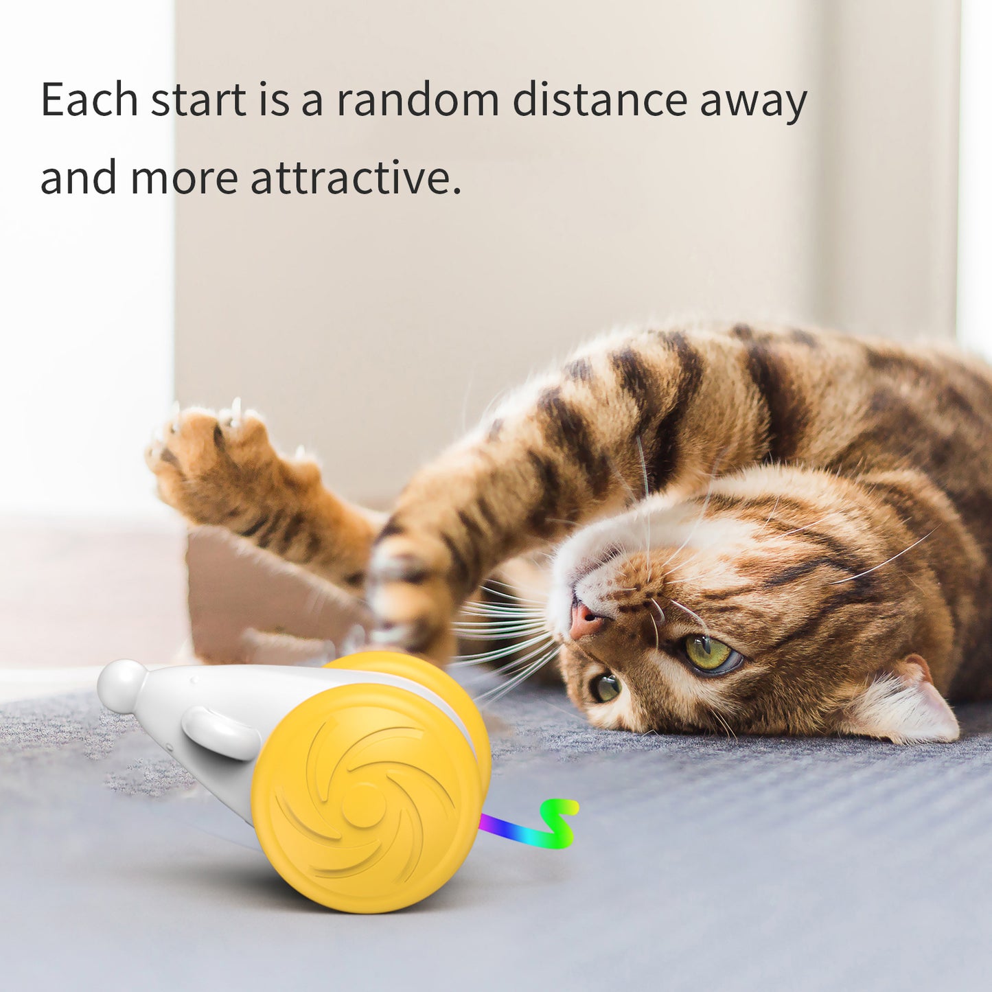 Interactive Cat Toys for Indoor Cats, Wicked Mouse Neo