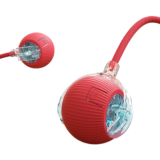 Interactive Cat Toys for Indoor Cats